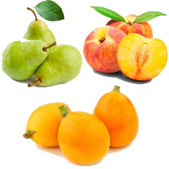 Fruits category