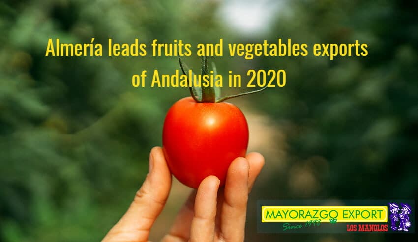 Almeria leads tomato and other vegetables and fruits exports of andalusia in 2020