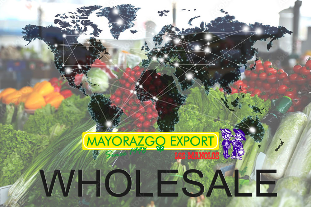 Los Manolos Spanish exporter of premium vegetables